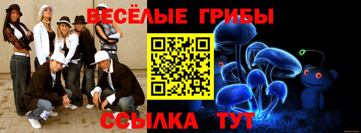 Псилоцибиновые грибы мицелий Энгельс